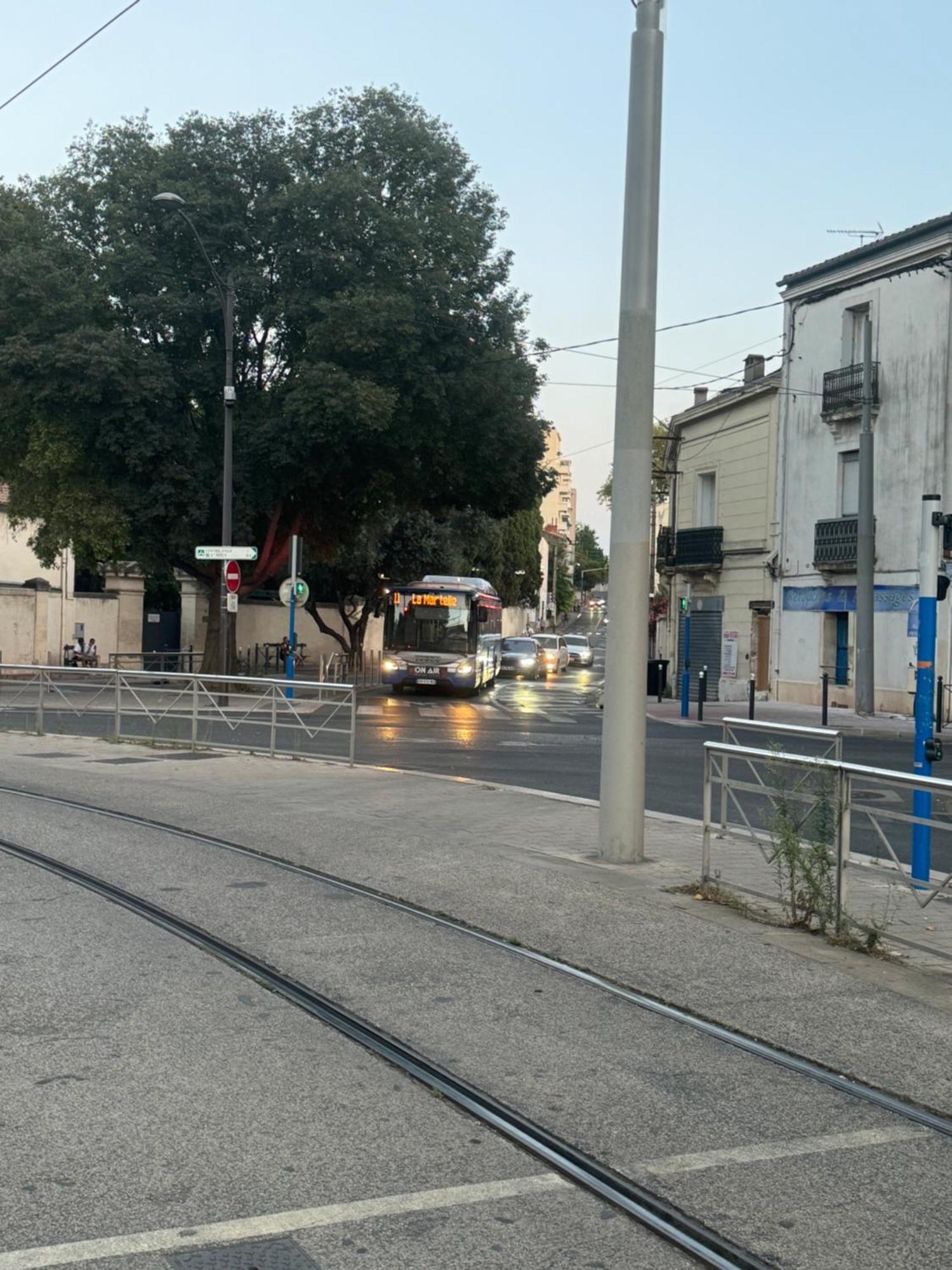 Paradis Calme En Plein Centre Ville Montpellier Buitenkant foto